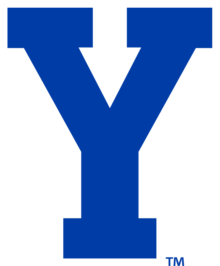 Brigham Young Cougars 2016-Pres Secondary Logo DIY iron on transfer (heat transfer)